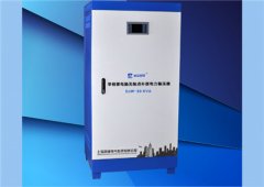 DJW系列30KVA單相無觸點全自動補償式電力穩(wěn)壓器